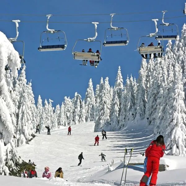 Kopaonik