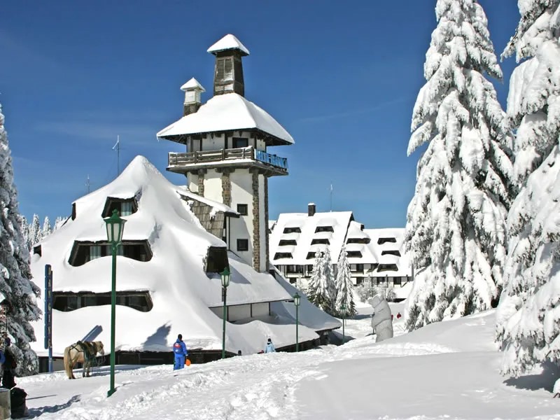 Kopaonik: Skiën op de hoogste berg van Servië