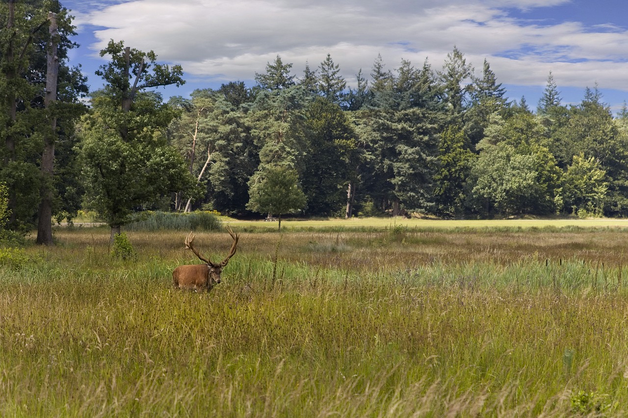 5 Nationale Parken in Nederland